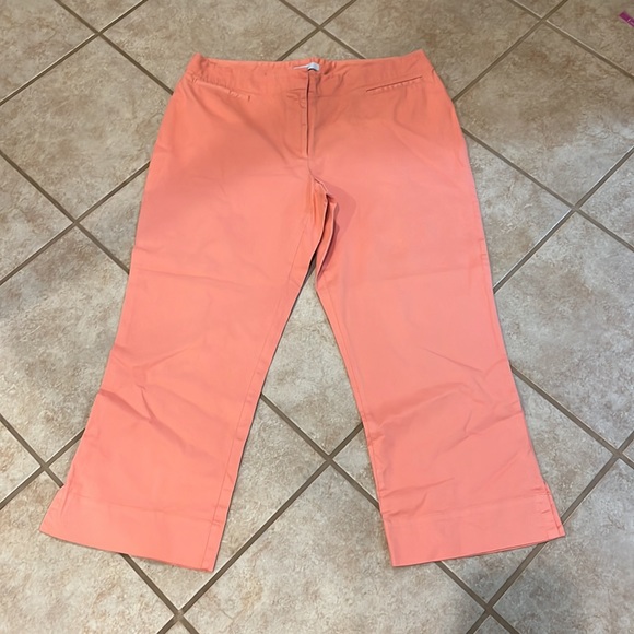 Eva Jh Collectibles Pants Sz 16 - Picture 2 of 10